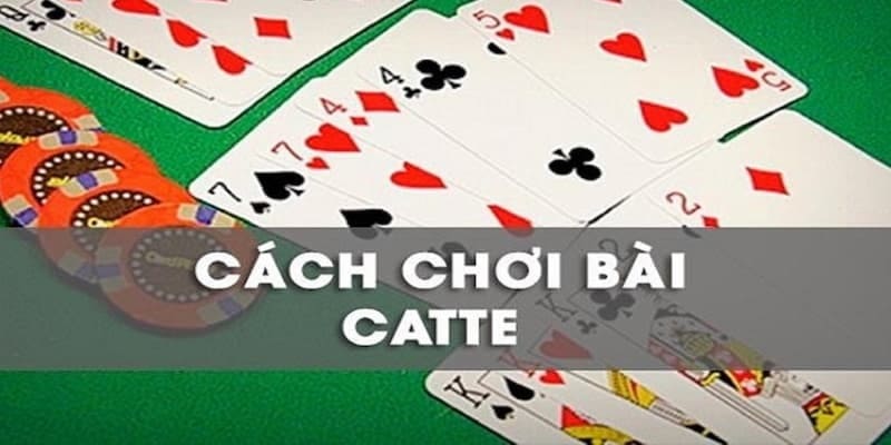 Cách chơi bài Catte Những lưu ý quan trọng trong Cách chơi bài Catte tại B52CLUB